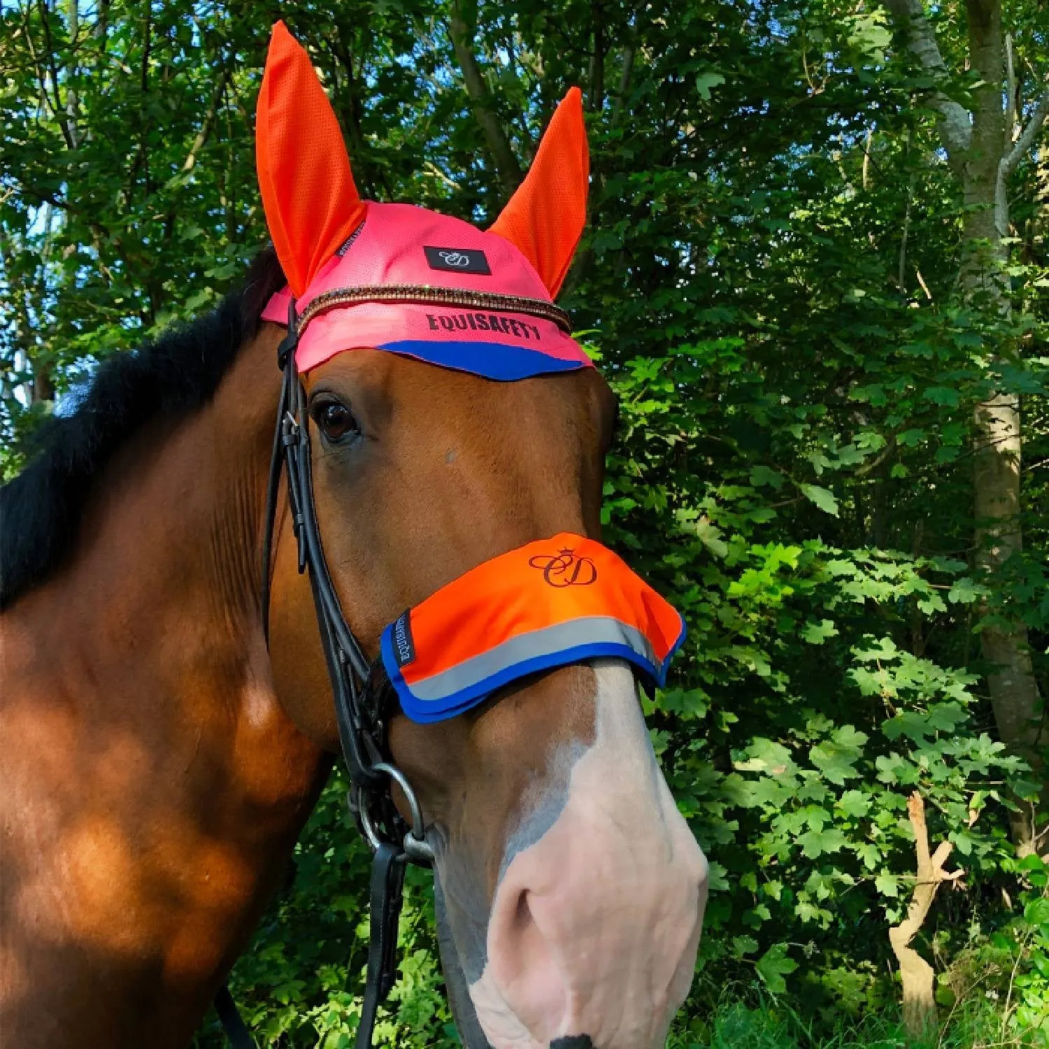 Equisafety Charlotte Dujardin Multi Coloured Ears